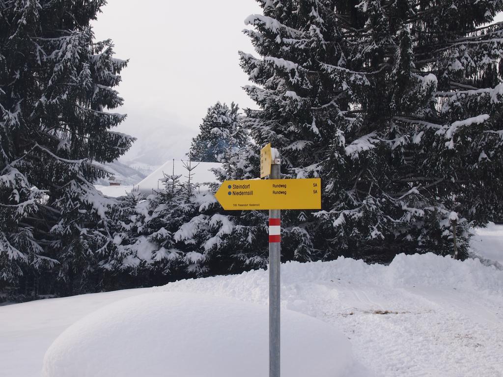 Chalet Sonnberg Niedernsill Dış mekan fotoğraf